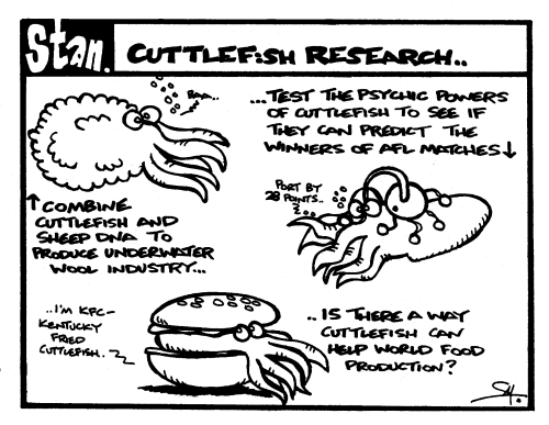 Cuttlefish research