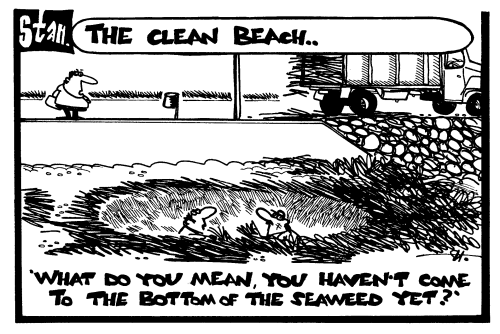 The clean beach
