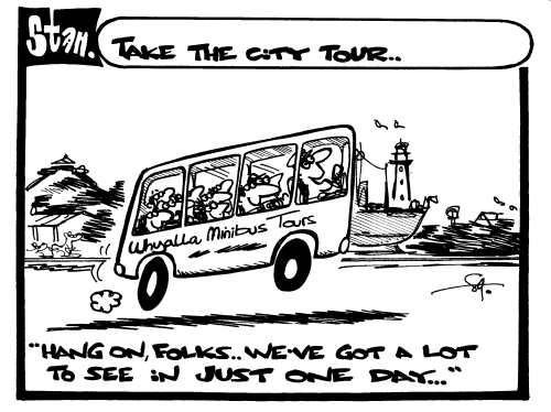 Take the city tour